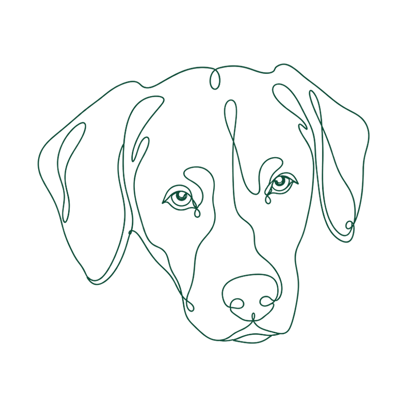 Buddy